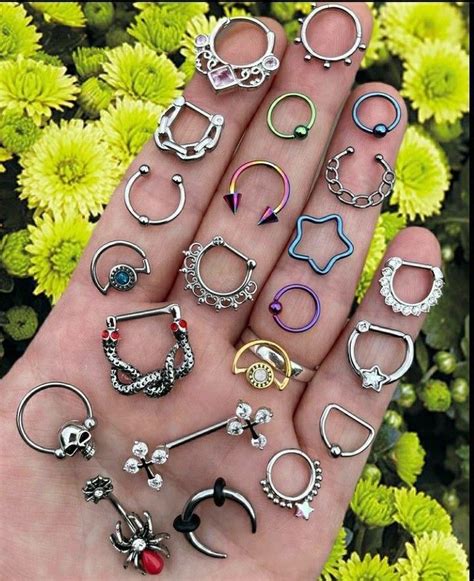 Pearcing | Septum piercing jewelry, Body jewelry piercing, Earings piercings