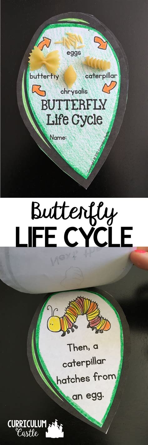 Butterfly Life Cycle Mini Leaf Book! Makes an adorable butterfly craft and activity. Just add ...