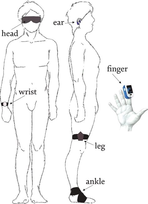 Location of some oximetry wearable devices [1]. | Download Scientific ...