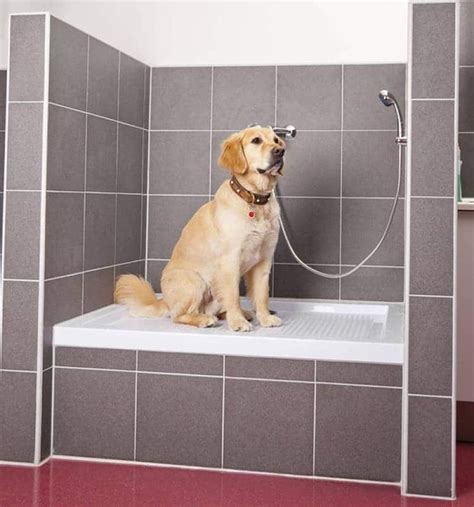 More People Are Installing Dog Showers In There Homes | Dog shower, Dog washing station, Dog bath