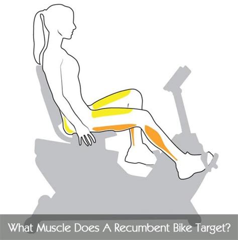 Exercise Bike Benefits, Workouts, and More - Lafitness Reviews