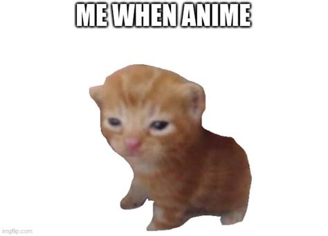 Share 64+ anime cat memes - in.cdgdbentre