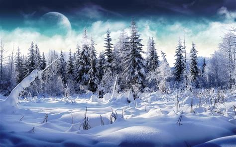 Winter Forest Desktop Wallpaper - WallpaperSafari