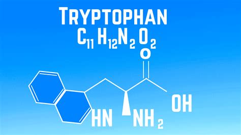 Tryptophan: Benefits, Side Effects and 7 Foods – Tense Health