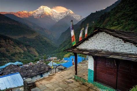 Another spectacular sunrise view of Annapurna South from Landruk Village, Annapurna Range, Nepal ...