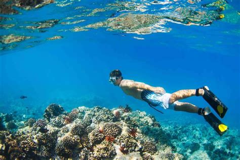 15 Helpful Tips For Best Snorkeling In Hawaii (2023)