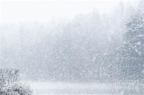 Snow Storm Photograph by Thomas R Fletcher