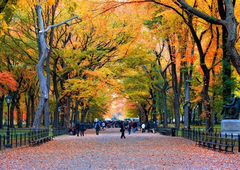 12 Things to Do in Central Park | New york city central park, Autumn in new york, New york travel