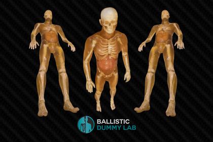 Collections – Ballistic Dummy Lab