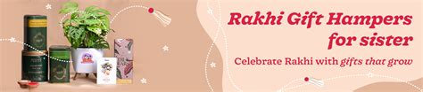 Best Rakhi Gift for Sister | Celebrate Rakhi with Love – Ugaoo