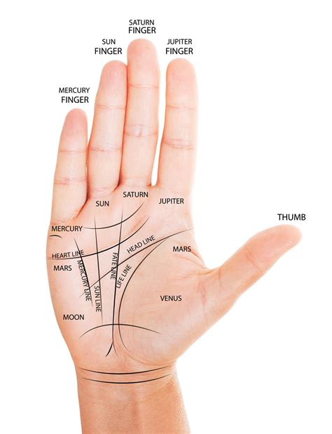 Life Line Palm Reading Chart