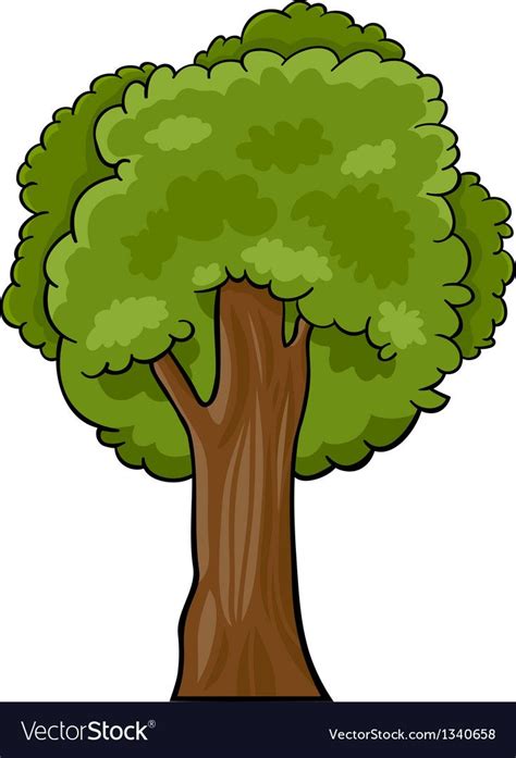 Cartoon of deciduous tree vector image on VectorStock | Tree cartoon images, Tree textures ...