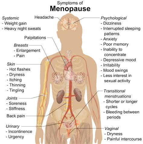 Address 34 Symptoms of Menopause with Holistic Treatments - Healthynewage.com