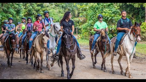 Carabali Rainforest Adventure Park 30ss EN - Discover Carabalí - YouTube