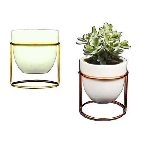 White Ceramic Plant Pot With Stand : Flora Bunda 8 In 2 Tone White Ceramic Pot On Wood Stand Mid ...