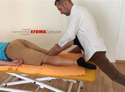 Fascial Distortion Model - FDM Basic - Kurs RehaIntegro