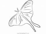 Moth Coloring Pages For Kids sketch template