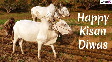 Kisan Diwas - 1200x667 Wallpaper - teahub.io