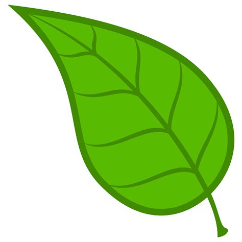 Free Leaf Clipart Png, Download Free Leaf Clipart Png png images, Free ...