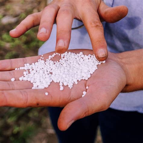 Can Urea Be Used As A Fertilizer? - Gardeninguru