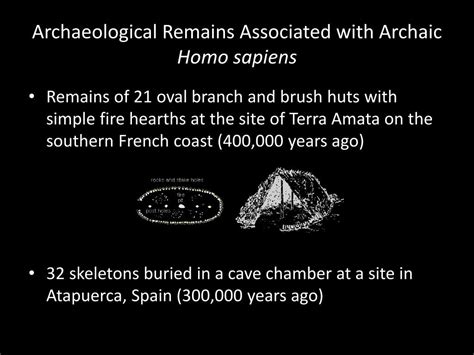 PPT - Hominin Fossils PowerPoint Presentation, free download - ID:182445