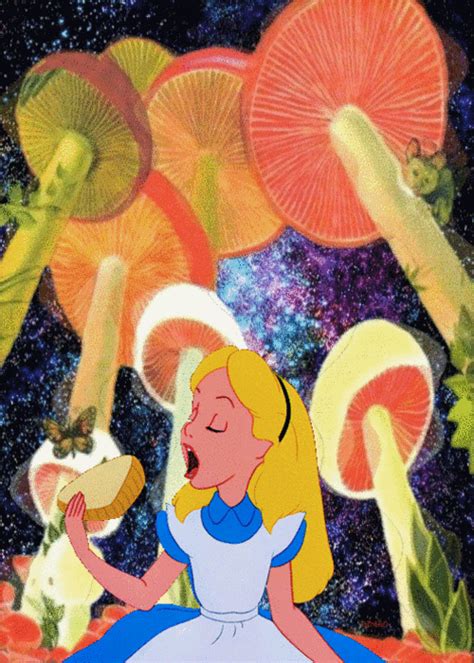 Go Ask Alice Quotes About Drugs. QuotesGram