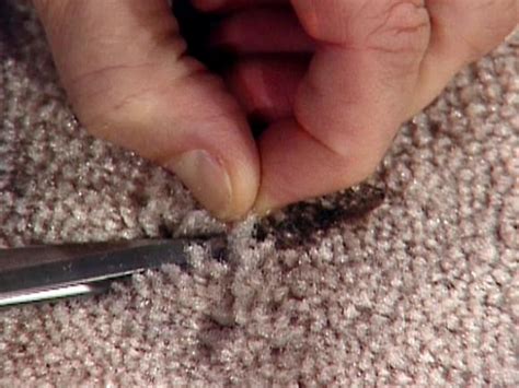 Get Rid of Carpet Stains | DIY