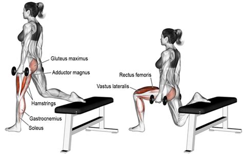 Como hacer una sentadilla búlgara - Locura Fitness