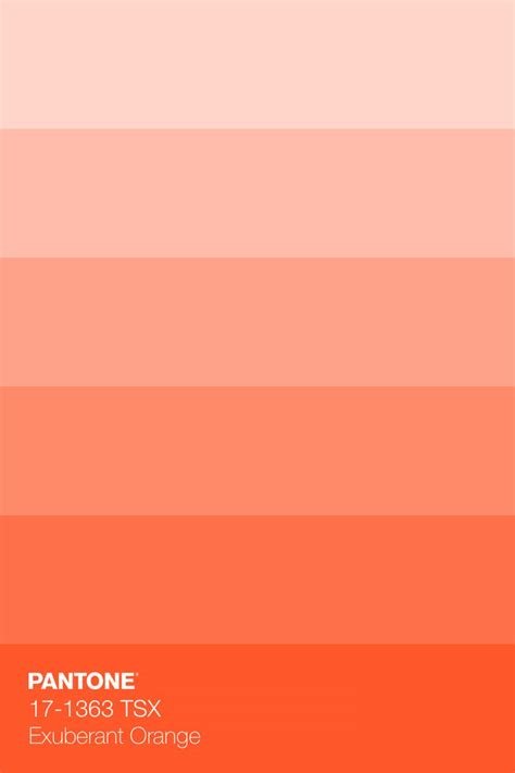 PANTONE 17-1363 TSX Exuberant Orange Colour Tint | Orange color palettes, Pantone color chart ...