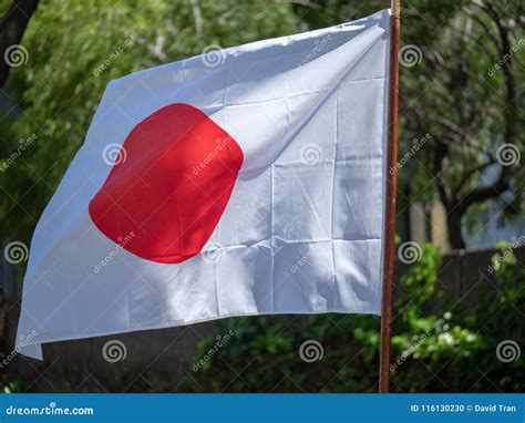 Japanese Land of the Rising Sun Flag in the Wind Stock Photo - Image of march, horizontal: 116130230