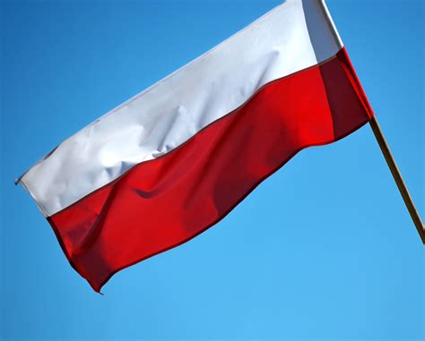 Polish Flag Poland National Colors - Free photo on Pixabay - Pixabay