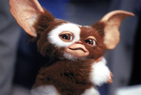 Comedy Classic ‘Gremlins’ turns 30 | Pennsylvania Bridges