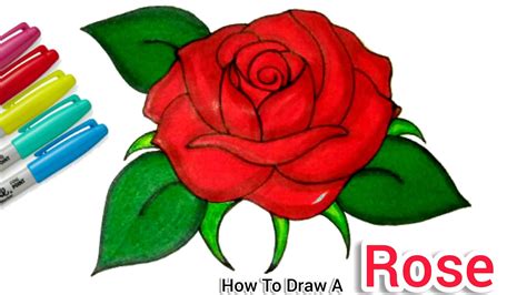 How To Draw An Open Rose Step By Step - pic-ify