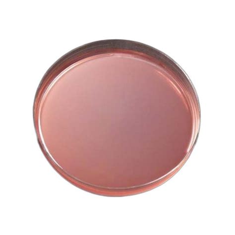 Macconkey Agar Plate Application: Chemical Laboratory at Best Price in Delhi | Pouring India