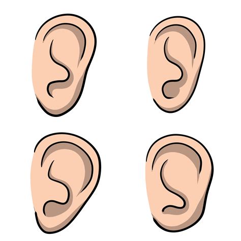 Ear. Part of human body. Eement of head. Symbol of hearing and ...