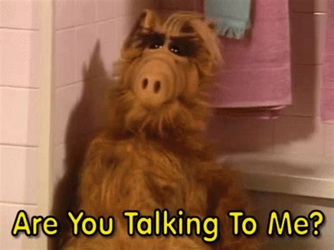 Alf You Talking To Me GIF - Alf You Talking To Me - Discover & Share GIFs | Alf, Alf tv series ...