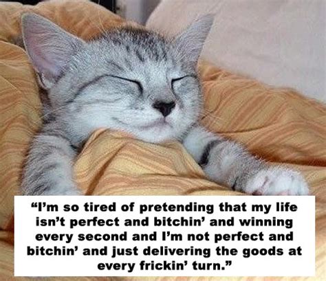 Quotes About Sleeping Cats. QuotesGram