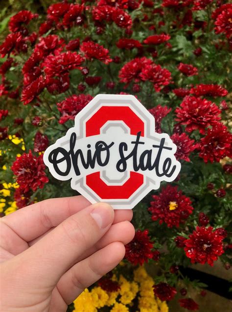 Ohio State Vinyl Sticker/Magnet/Sticker Packs | Etsy