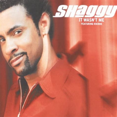 Shaggy - It Wasn’t Me - EP Lyrics and Tracklist | Genius