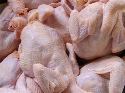 Dua Bulan, 1.288 Ton Daging Ayam Masuk ke Maluku Utara – tandaseru.com ...