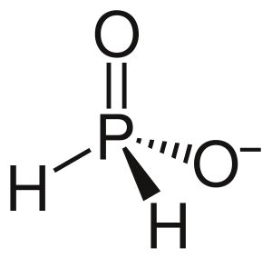 Hypophosphite Facts for Kids