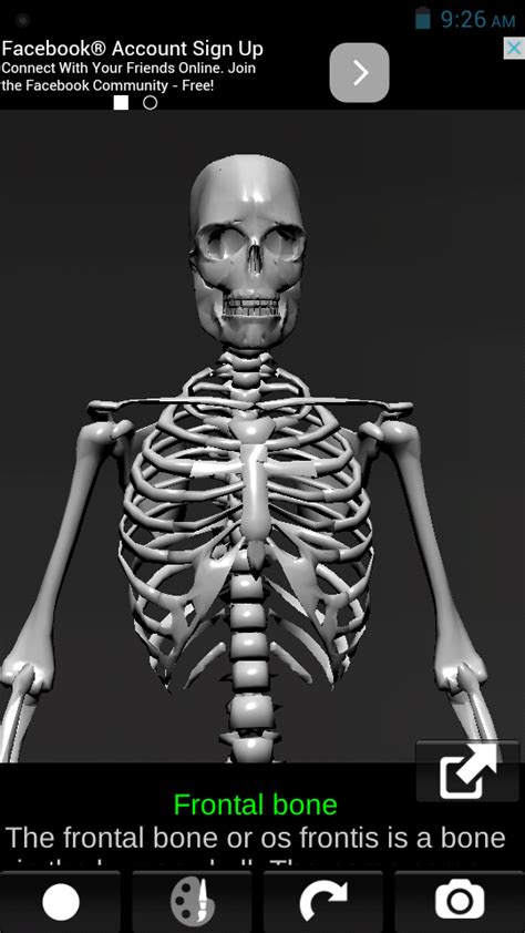 Let's Learn: Bones 3D App for human skeleton anatomy