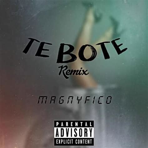 Magnyfico – Te Bote (Remix) Lyrics | Genius Lyrics