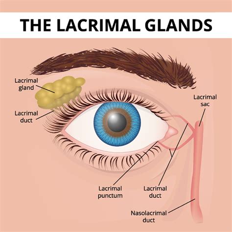 Blocked Tear Duct - Eye Center South