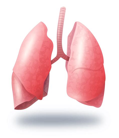 OncoDEEP: Advanced lung cancer treatment and diagnosis