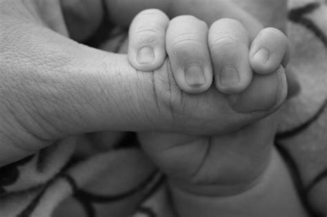 Free Images : hand, black and white, kid, old, love, young, finger, father, child, contrast ...
