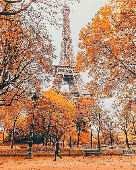 Autumn in Paris, France. Eiffel Tower HD phone wallpaper | Pxfuel