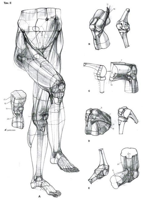 Security Check Required | Human anatomy drawing, Cartoon drawings, Anatomy art