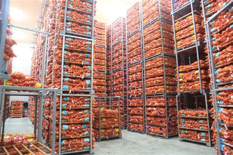 Supply Onion Cold Storage Wholesale Factory - Dalian Bingshan Engineering & Trading Co., Ltd.