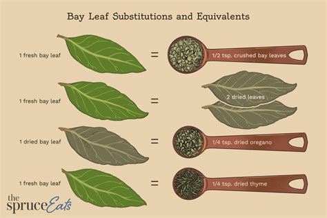 Substituting Bay Leaves for Basil: A Comprehensive Guide - PlantHD